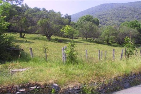 Terreno edificabile in mezzo alla natura 1