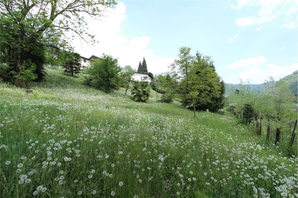 Interessante terreno edificabile con grande potenziale 1