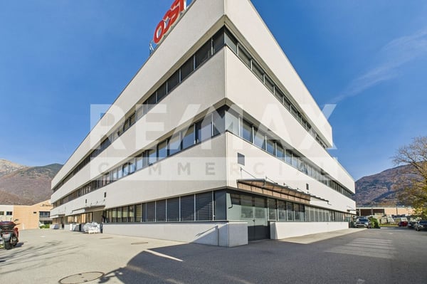 Nie genutzte Gewerbeobjekt 1