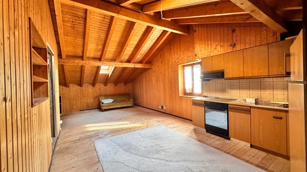 rif. 2018 CASA BIFAMILIARE TICINESE-GRANDE POTENZIALE NEL VERDE CON BOX AUTO 11