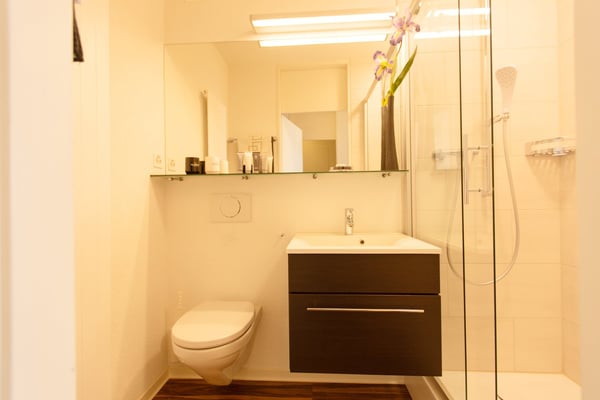 Möblierte 1.5-Zimmer-Wohnung mit Service - Basel St. Johann / Novartis-Campus 5