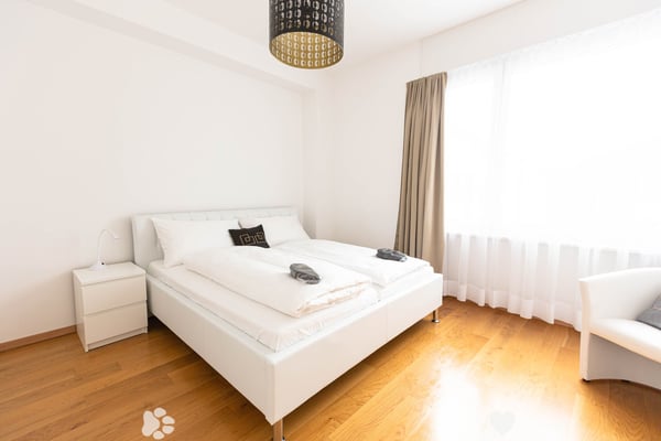 Luxuriöse möblierte 2.5-Zimmer-Wohnung mit Service im Zentrum von Biel 3