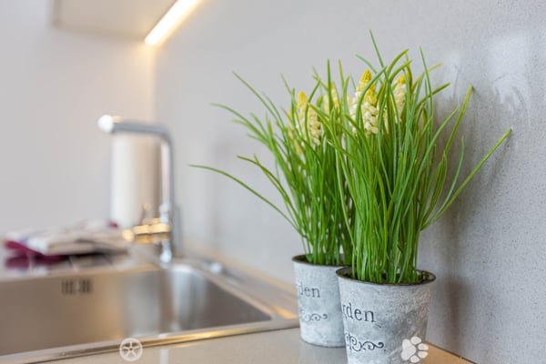 Luxuriöse möblierte 2.5-Zimmer-Wohnung mit Service im Zentrum von Biel 6