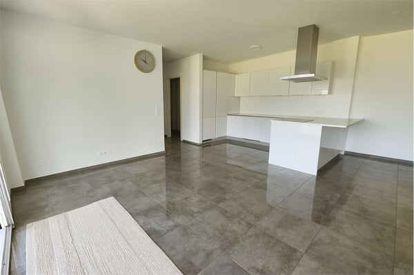 Appartamento 3.5 locali con terrazzo 5
