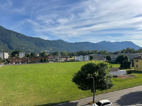 Appartamento 3.5 locali con terrazzo 2