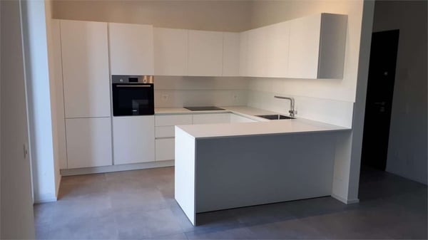 Affitto appartamento 1.5 locali con giardino 4