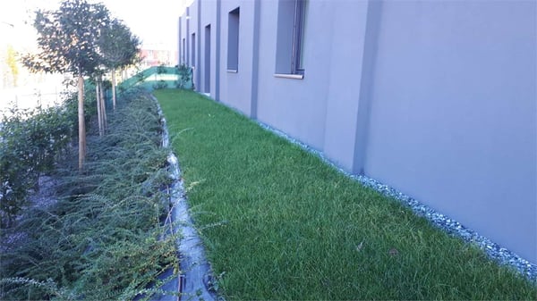 Affitto appartamento 1.5 locali con giardino 5