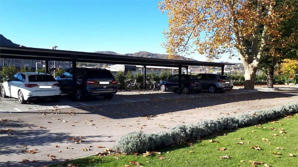 Affitto appartamento 1.5 locali con giardino 10