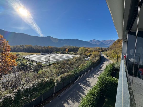 Moderno 1.5 locali 11