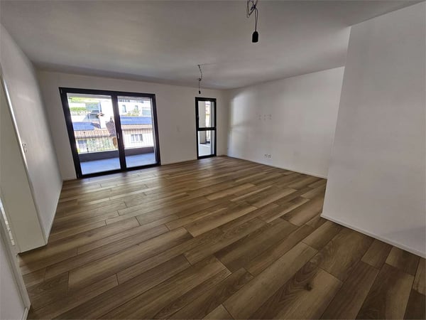 Gudo, affitto 2.5 locali con terrazzo 5