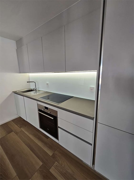 Gudo, affitto 2.5 locali con terrazzo 10