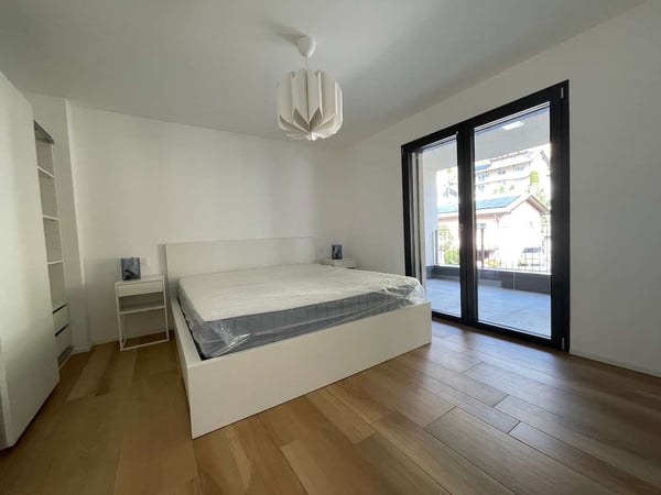Gudo, appartamento 2.5 locali con terrazzo 5