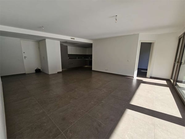 Giubiasco recente 1.5 locali con giardino 7