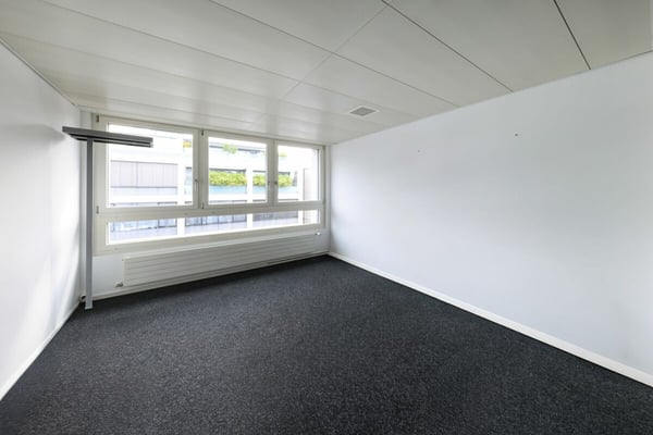 ASCONA - Spazio commerciale ad uso ufficio con stupenda vista 9