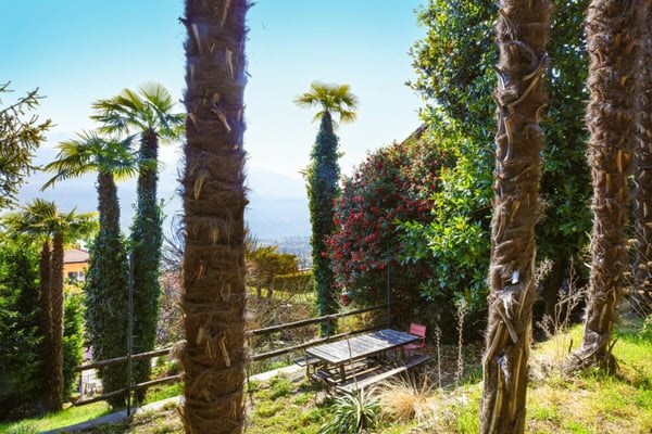 ORSELINA - Baugrundstück mit Panorama & Häuschen 2