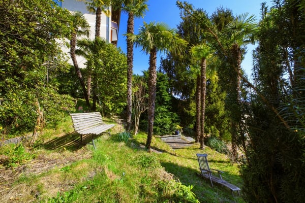 ORSELINA - Baugrundstück mit Panorama & Häuschen 4