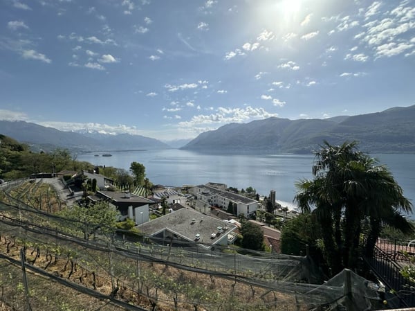 BRISSAGO - Interessante terreno edificabile 2