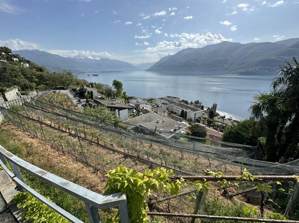 Vorschaubild der Immobilie