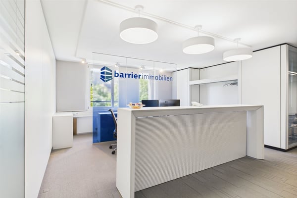 Attraktive Gewerbefläche in Zürich-Binz mit 460 m² 1