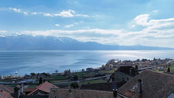 Riex, au cur du Lavaux - Maison vigneronne avec intérieur comtemporain 9
