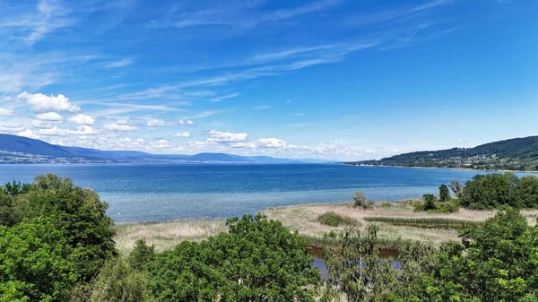 Maison de caractère avec grand jardin, à deux pas du lac de Neuchâtel 2