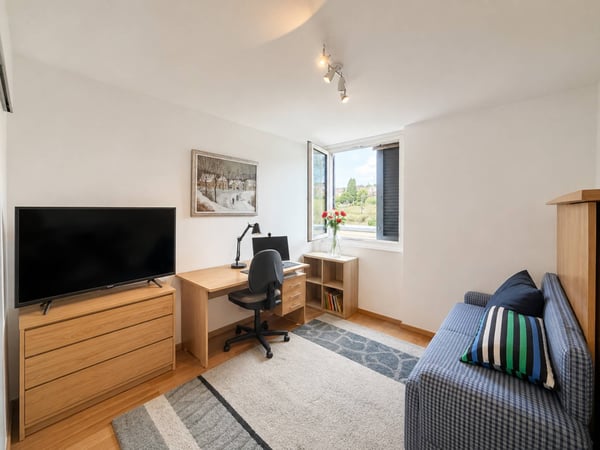 Attique de 2020, terrasse de 51 m² et vue sur l'arc lémanique 8