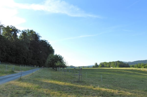 Attraktive Wohnung im Freiämter Naturparadies am Zonenrand (Erstbezug) 7