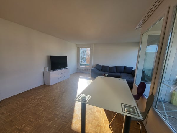 Grosszügige Wohnung in Thun 2