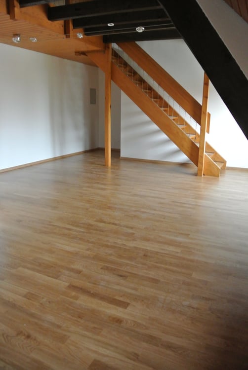 Schöne 3,5-Zimmer-Maisonette-Dachwohnung Nähe Birs mit Sicht zum Rhein 5