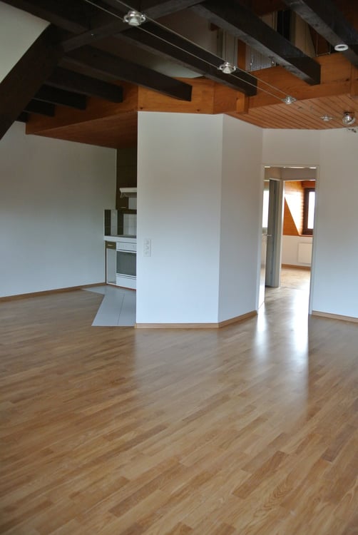 Schöne 3,5-Zimmer-Maisonette-Dachwohnung Nähe Birs mit Sicht zum Rhein 3