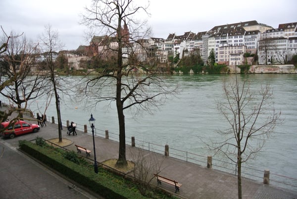 Charmante 1-Zimmer-Wohnung direkt am Rhein 2