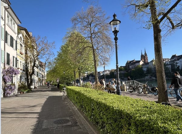Exklusives Wohnen direkt am Rhein mit Blick auf die historische Altstadt 3