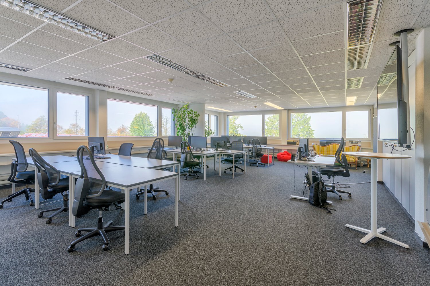 Office room, desk and chairs, monitors, carpet floor, glass windows, central plant