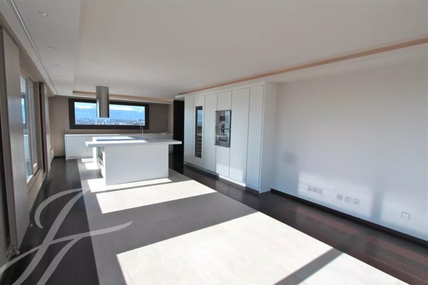 Duplex on a rooftop 9