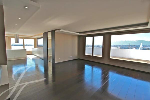 Duplex on a rooftop 2