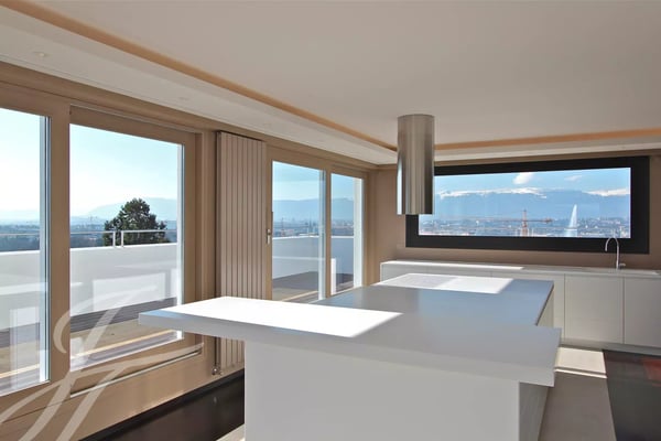 Duplex on a rooftop 3