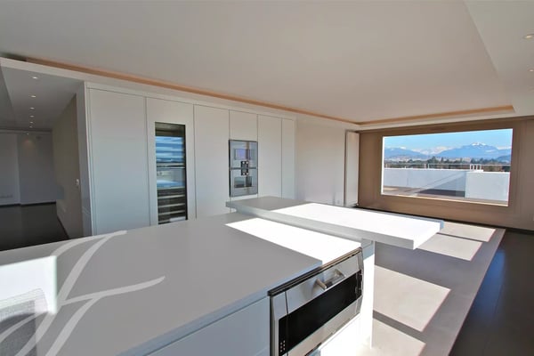 Duplex on a rooftop 7