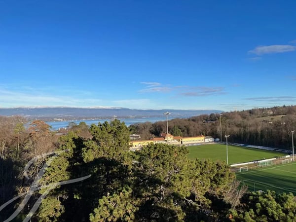 Panoramic view of Cologny 1