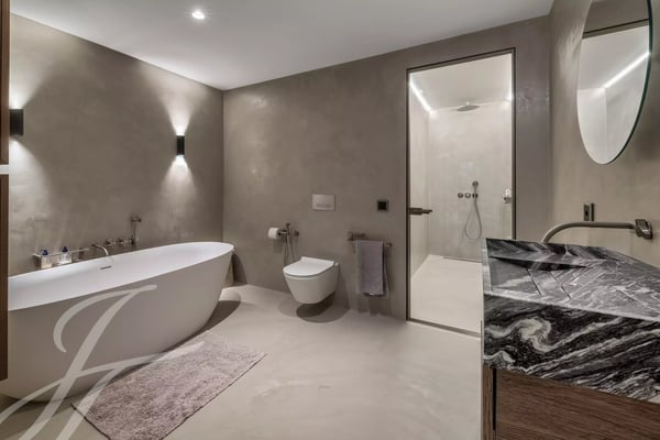 Panoramic view of the lake and contemporary interiors 13