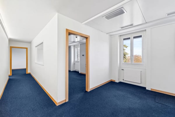 Belles surfaces à louer à Malagnou 6