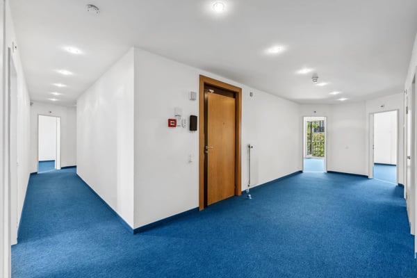 Belles surfaces à louer à Malagnou 3