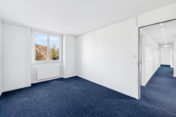 Belles surfaces à louer à Malagnou 10