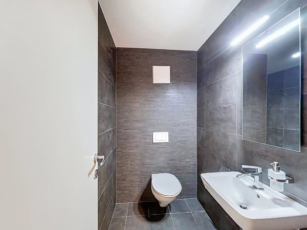 Charmant 2.5 pcs avec vue sur le lac 7