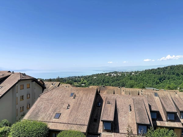 Magnifique 4,5 pcs en attique avec mezzanine + garage-box 3