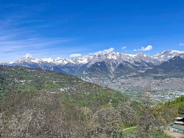 Appartement de 4 1/2 pièces bénéficiant d'une magnifique vue 1