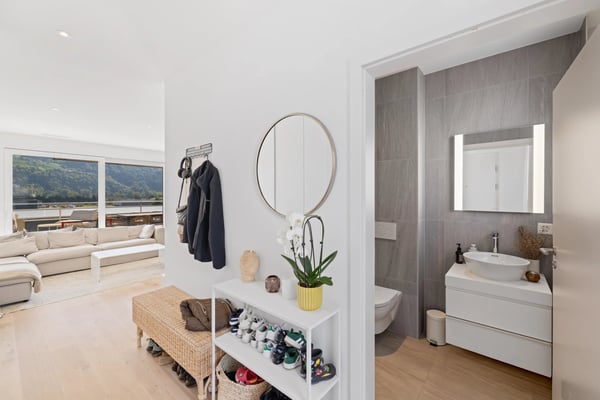 Attique Minergie ? Vue panoramique & cadre lumineux 3