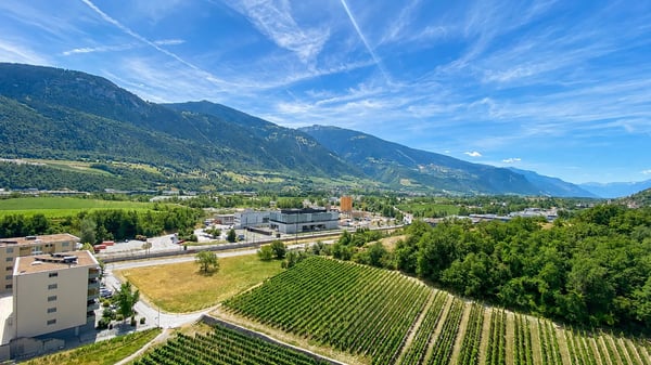 Appartement de 4,5 pièces au 10e étage avec vue panoramique 9