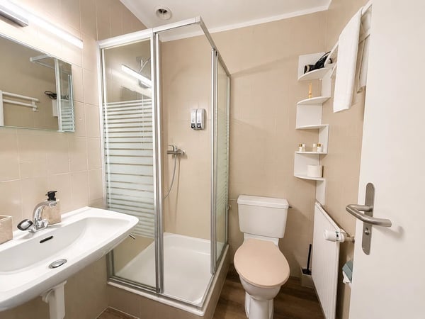 Établissement mixte avec partie hôtelière, restauration et appartement indépendant à Bourg-St-Pierre 7