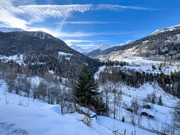 Chalet canadien en rondins avec deux appartements et vue imprenable 4