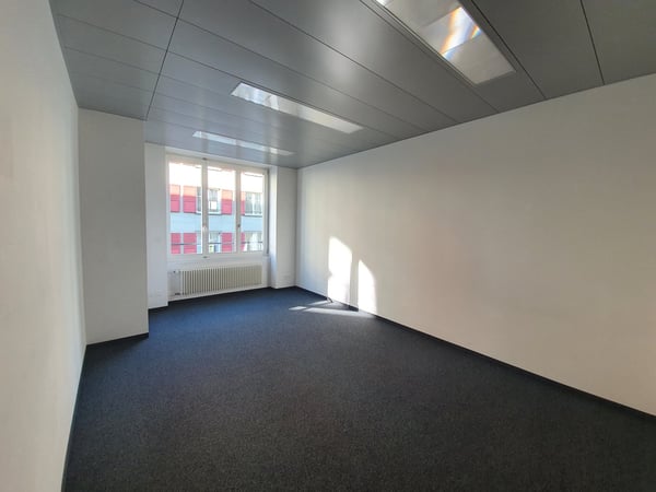 Zentrale Büro- und Dienstleistungsfläche beim Ryfflihof zu vermieten 5